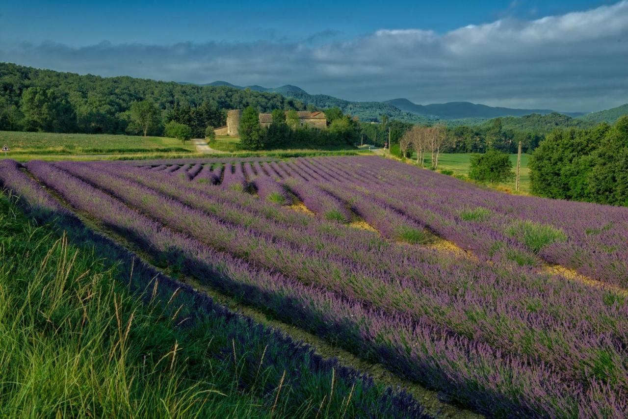 Les Hirondelles Villa Pont-de-Barret ภายนอก รูปภาพ